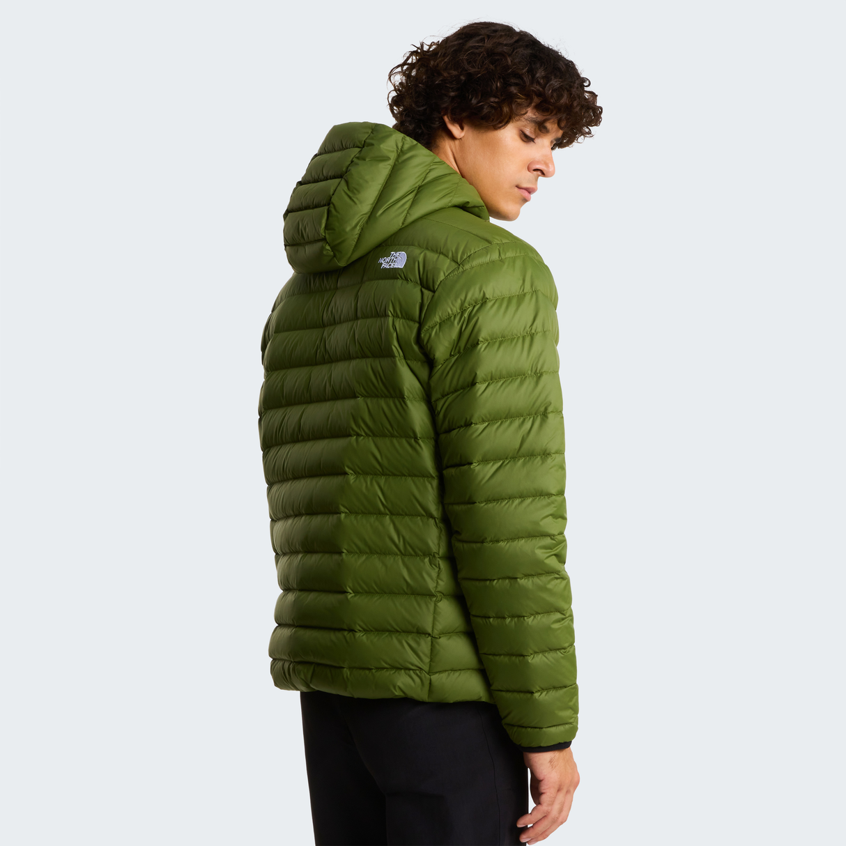 tnf_asset:NF0A8D1TBRI-ALT3