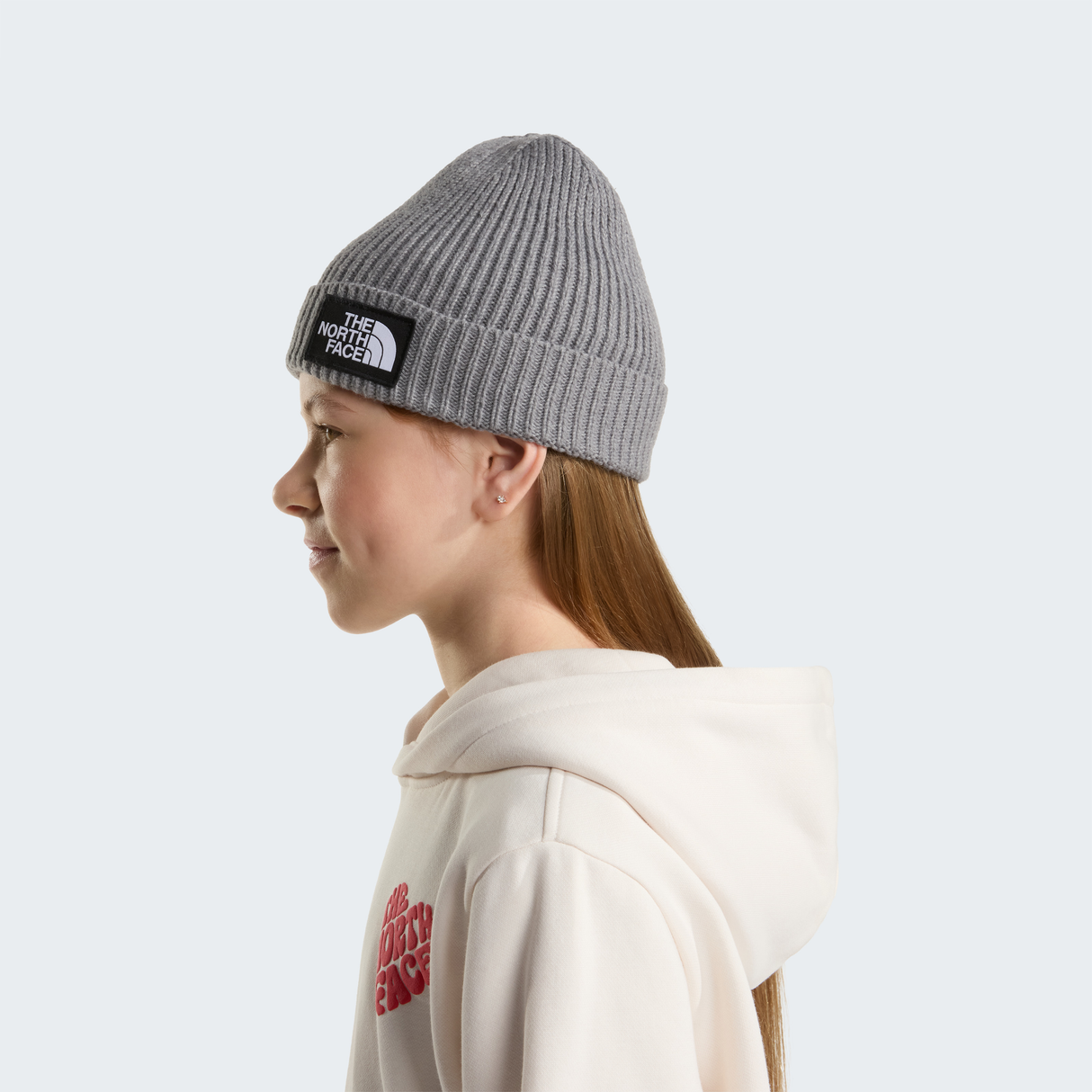 tnf_asset:NF0A8CGUDYY-ALT3