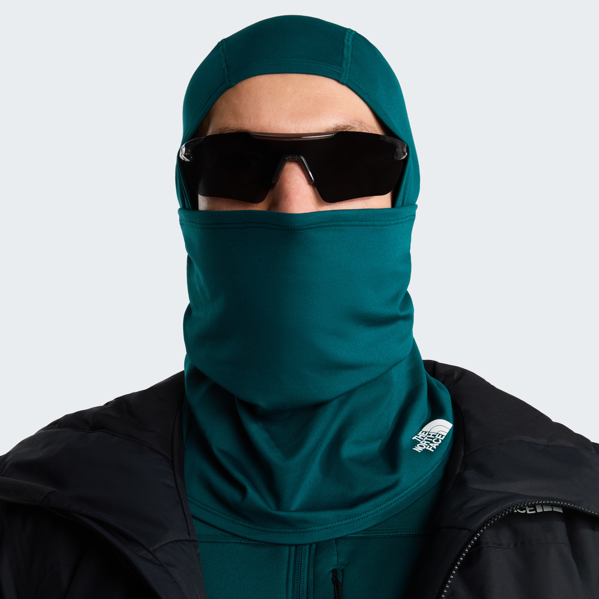 tnf_asset:NF0A8889N4J-ALT1
