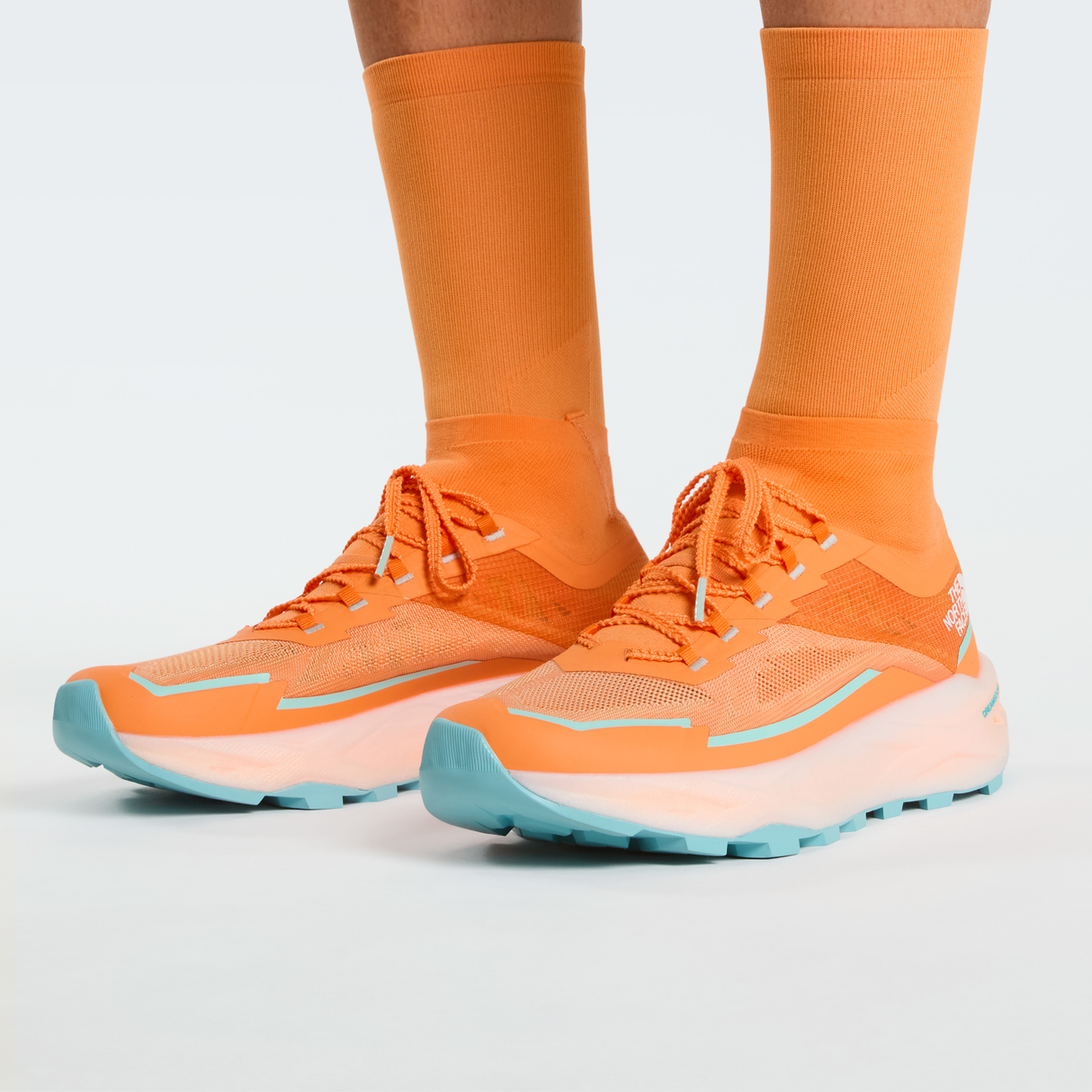 tnf_asset:NF0A8G53TTS-ALT2