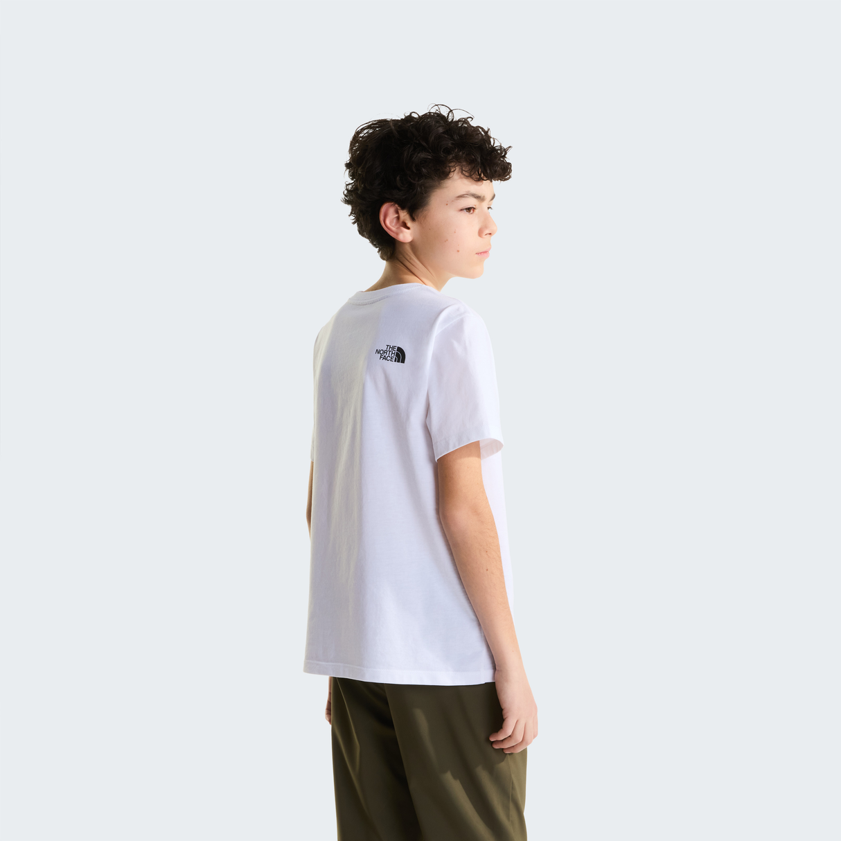 tnf_asset:NF0A8CZ8FN4-ALT3