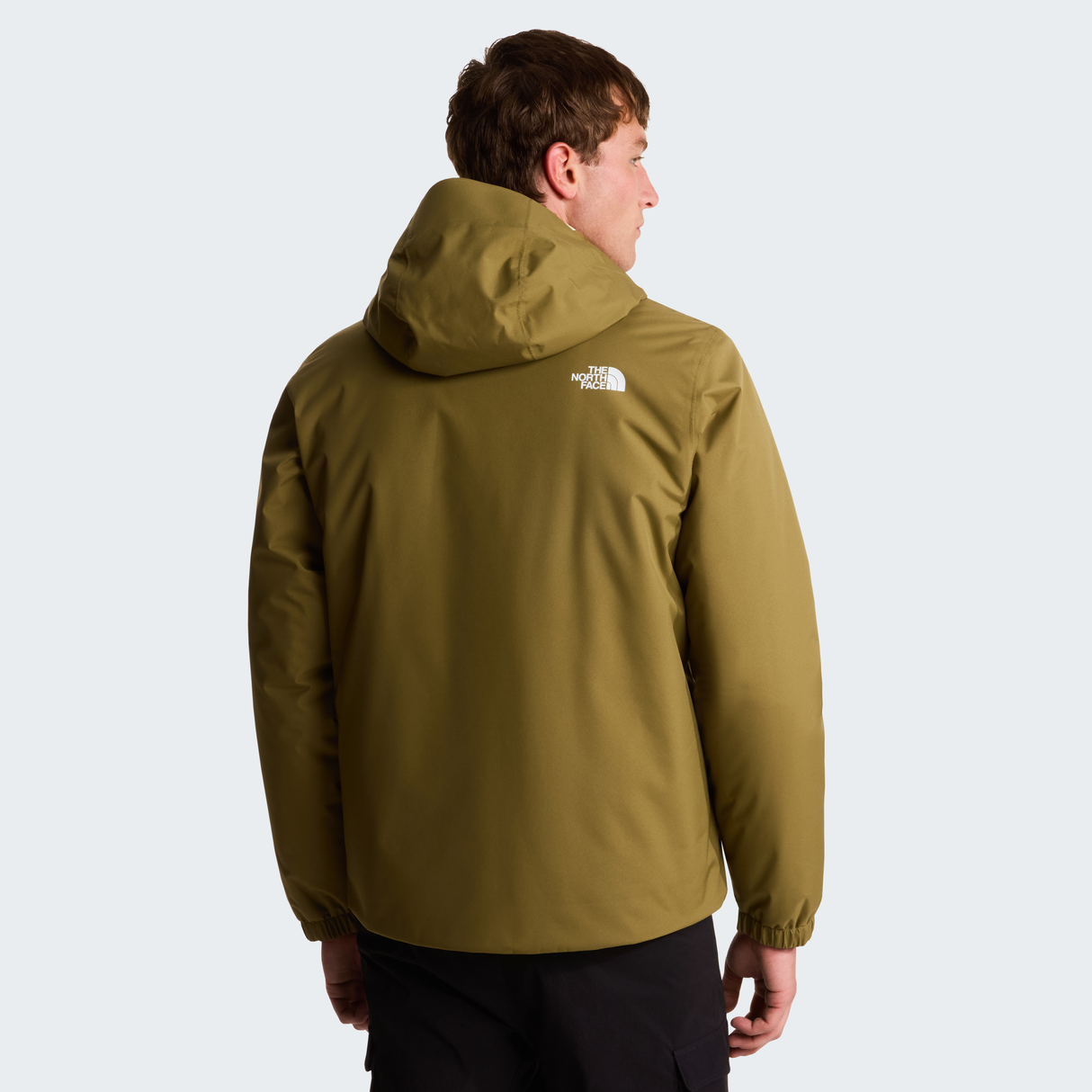 tnf_asset:NF0A8G0T2EL-ALT3