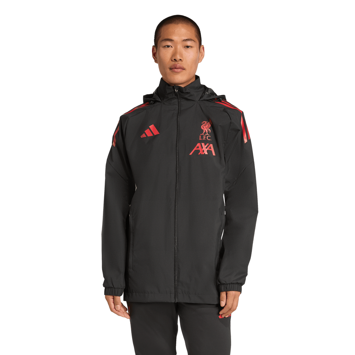 ADIDAS - Liverpool Fc 25/26 Competition All Weather Jacket - Uomo - image 2