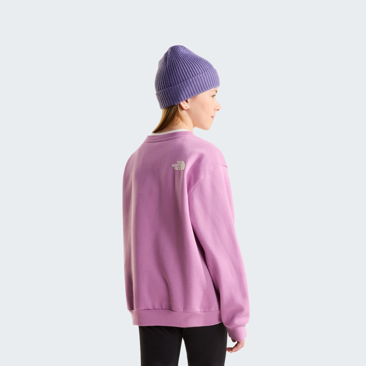 tnf_asset:NF0A8JH0G6E-ALT3