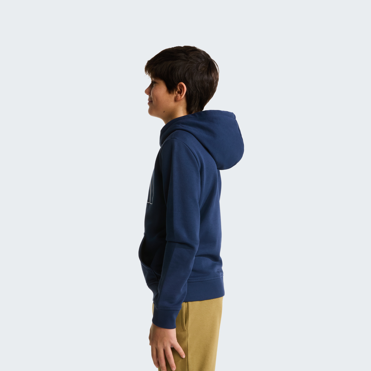 tnf_asset:NF0A8GR88K2-ALT2
