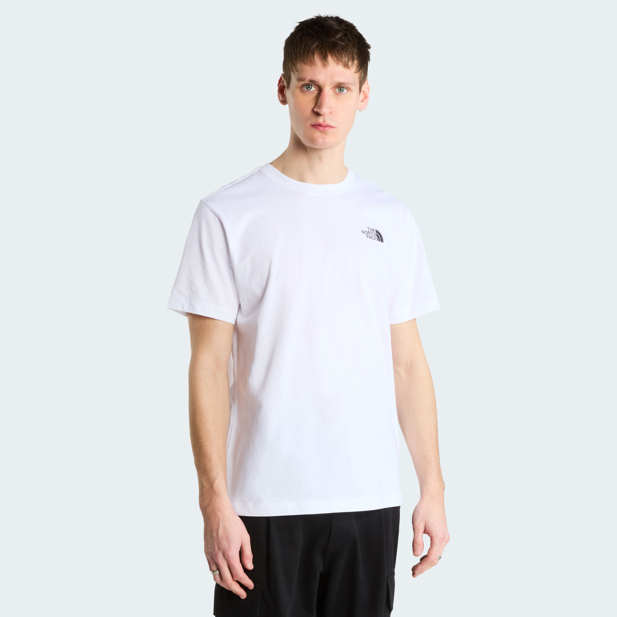 tnf_asset:NF0A8JBGFN4-ALT1