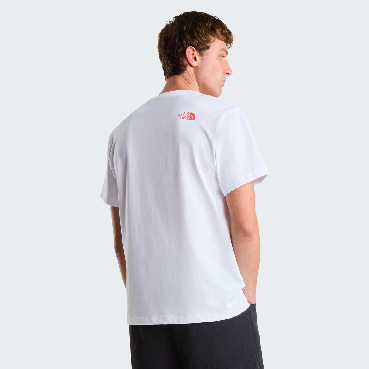 tnf_asset:NF0A8GQXFN4-ALT3