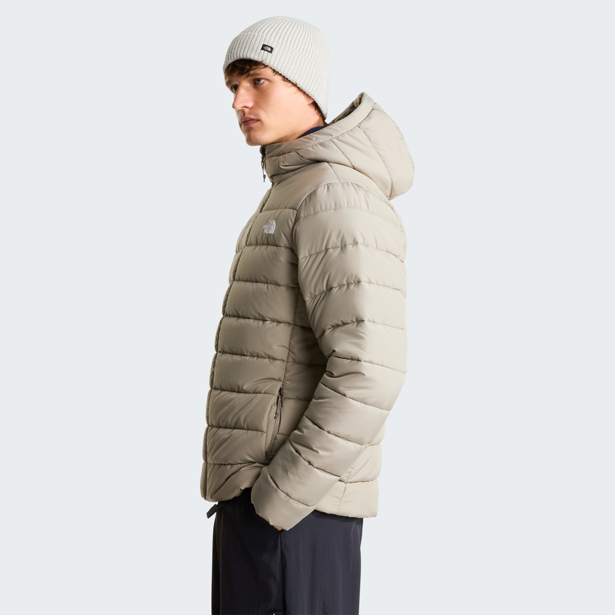 tnf_asset:NF0A8H0K2MB-ALT2