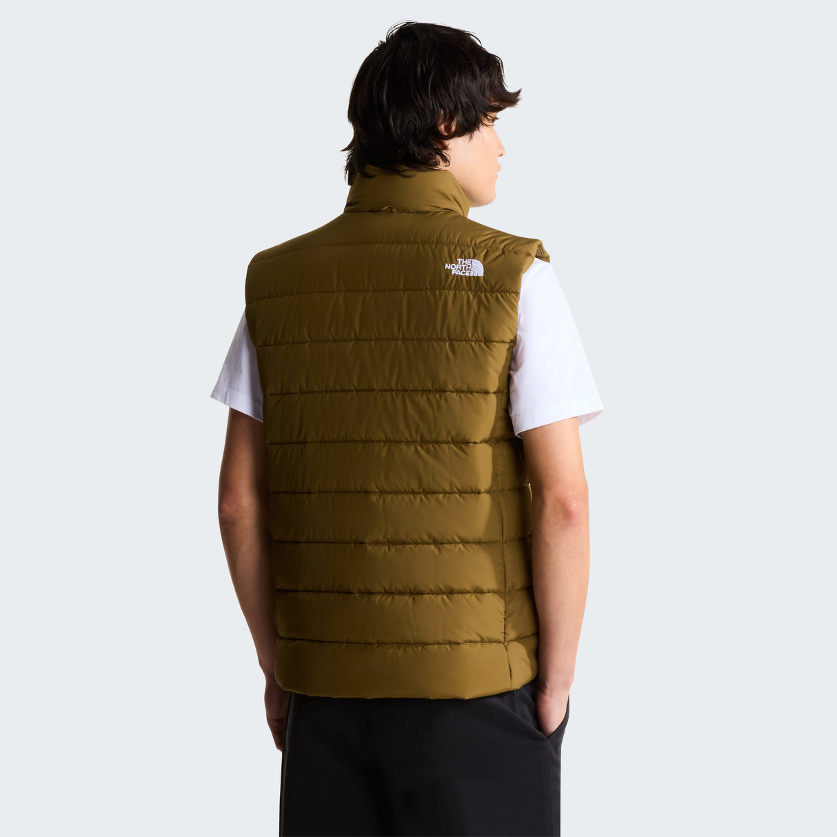 tnf_asset:NF0A8H0N2EK-ALT3