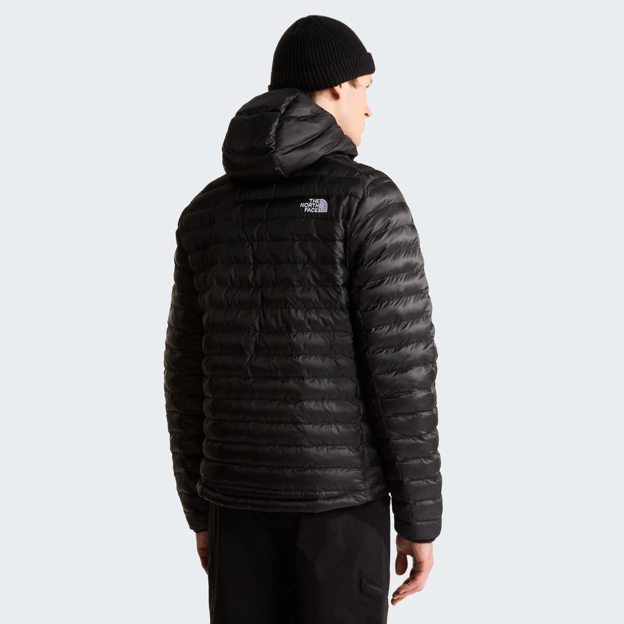 tnf_asset:NF0A85A34GZ-ALT3