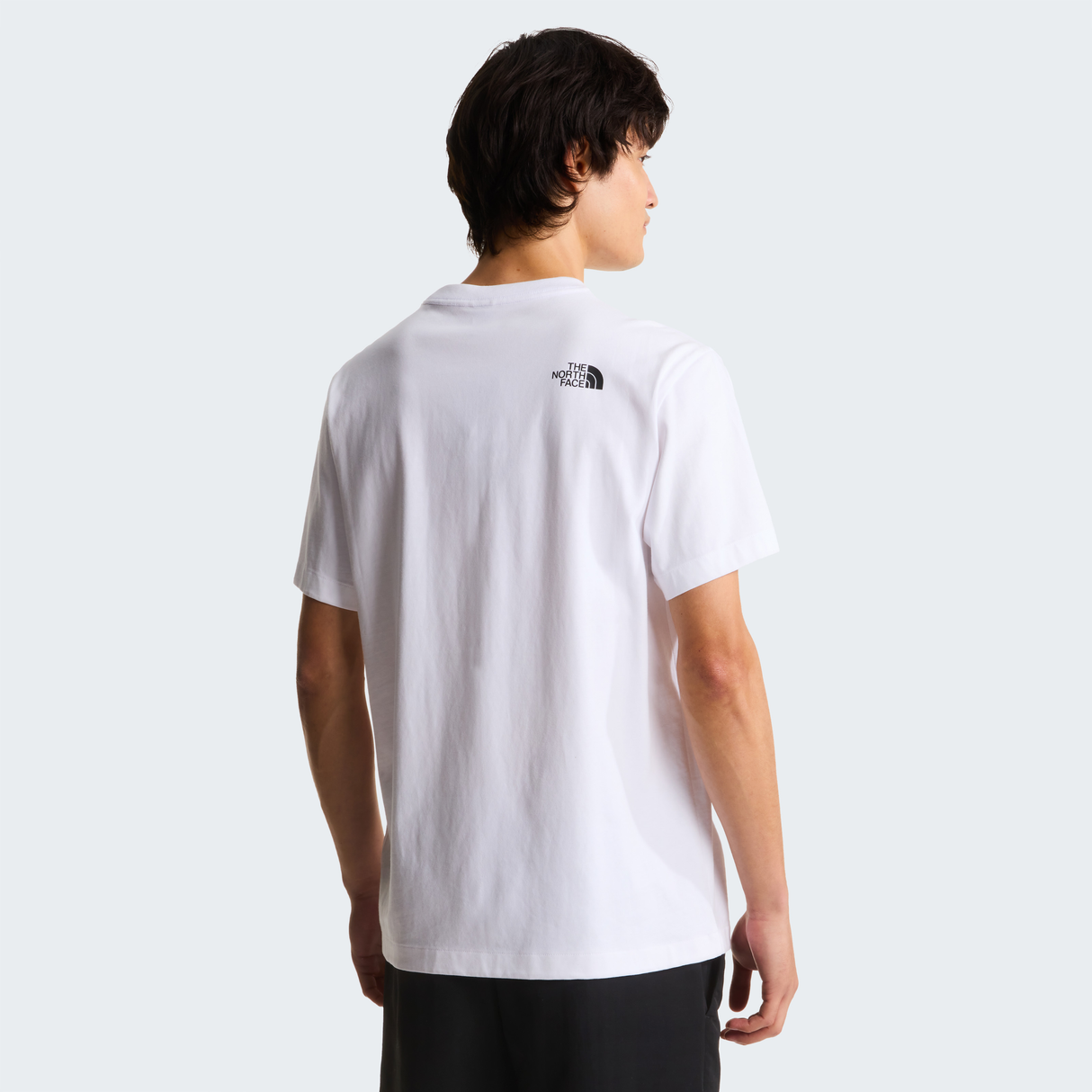 tnf_asset:NF0A8G9FFN4-ALT2