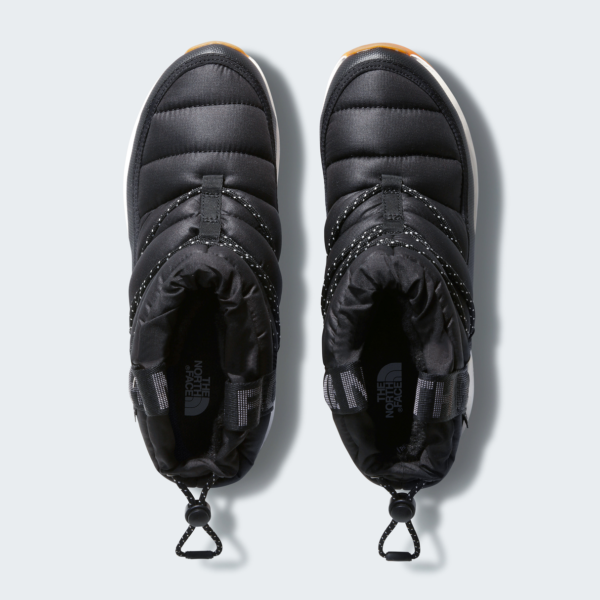 tnf_asset:NF0A5LWDR0G-ALT1