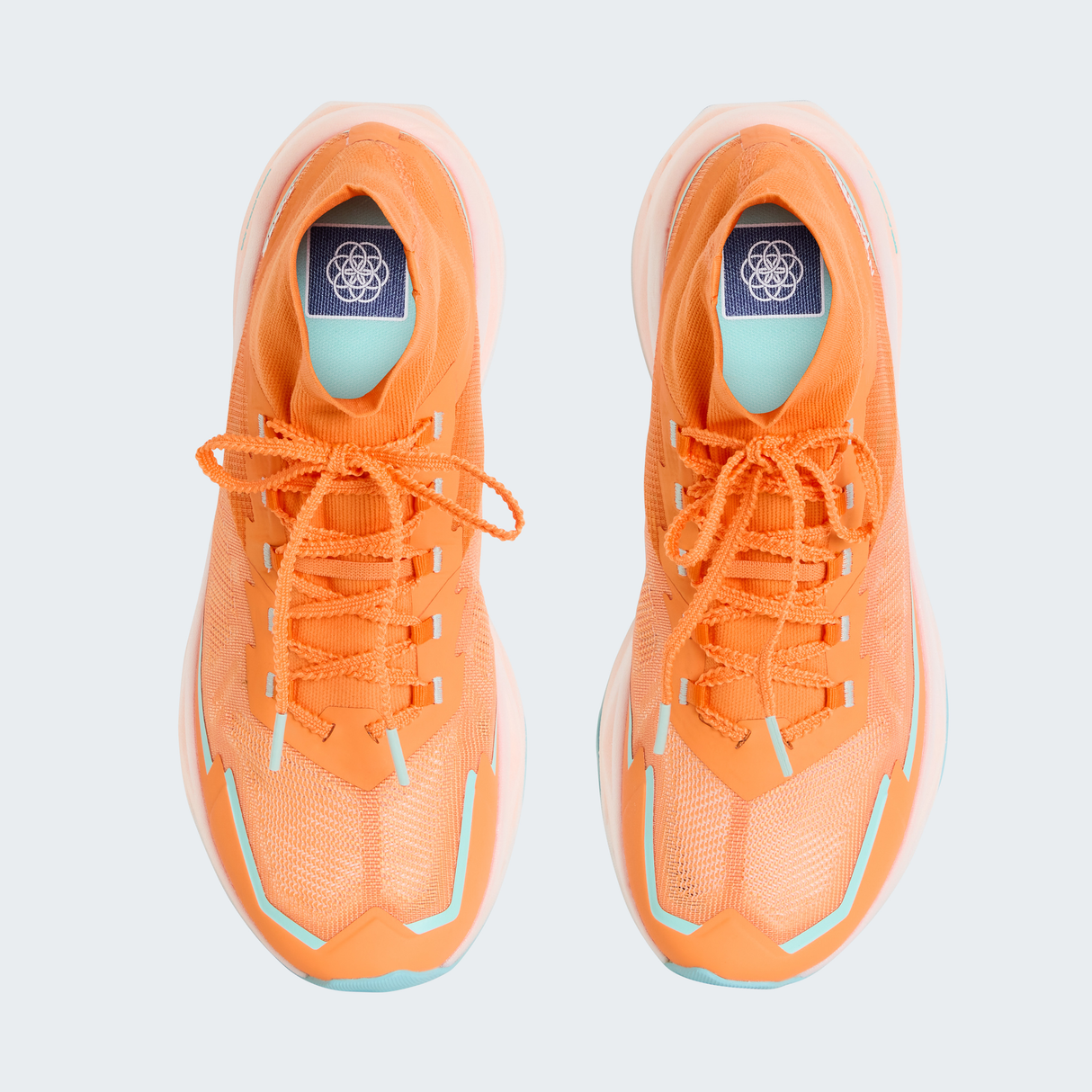 tnf_asset:NF0A8G53TTS-ALT1
