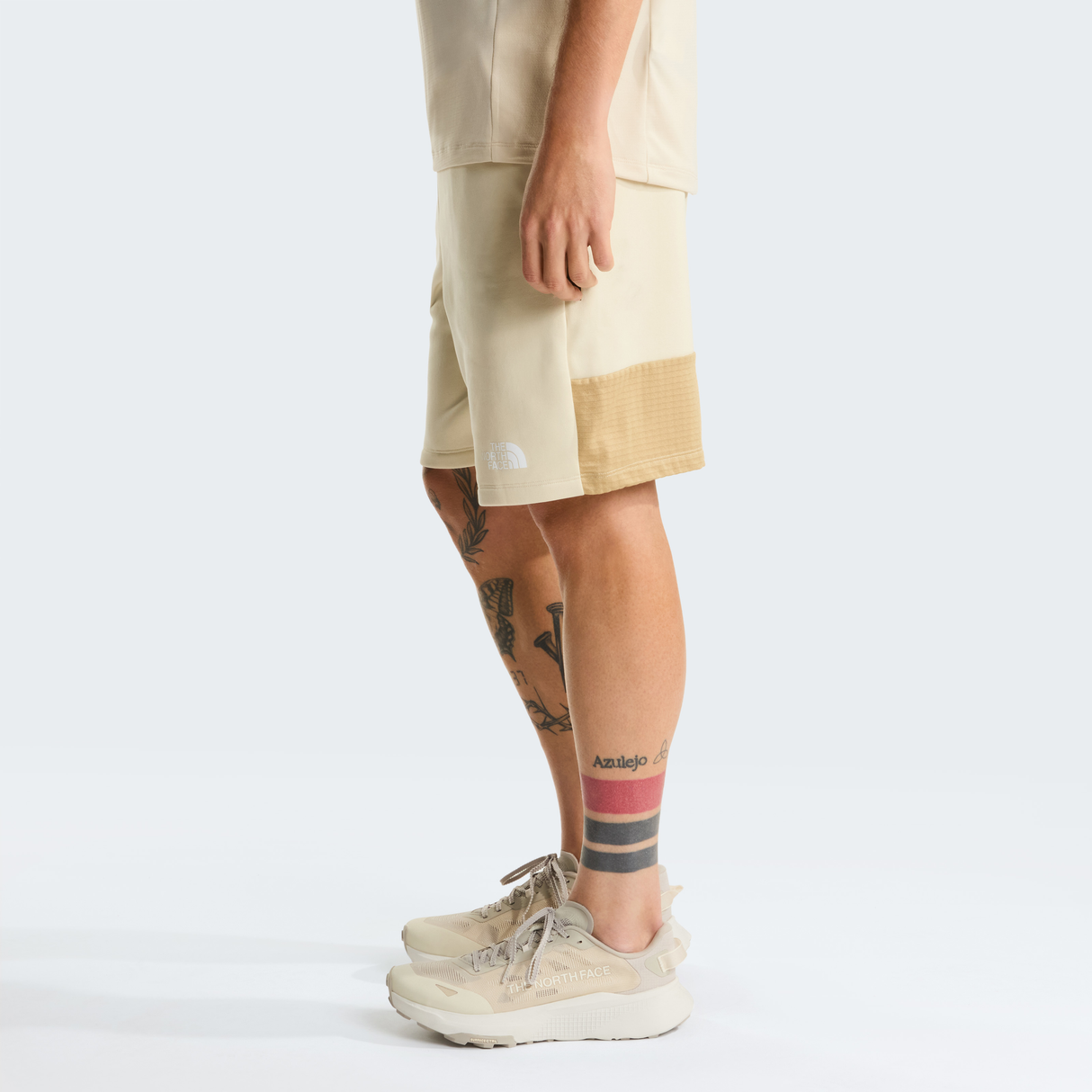 tnf_asset:NF0A893TDOM-ALT2