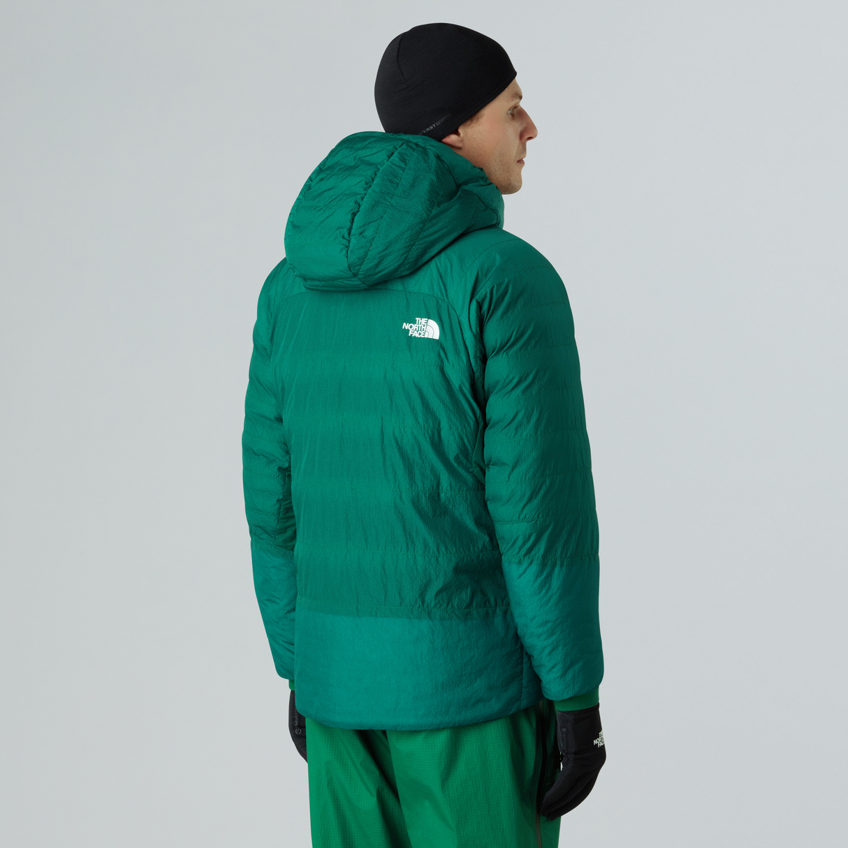 tnf_asset:NF0A89AEBOF-ALT2
