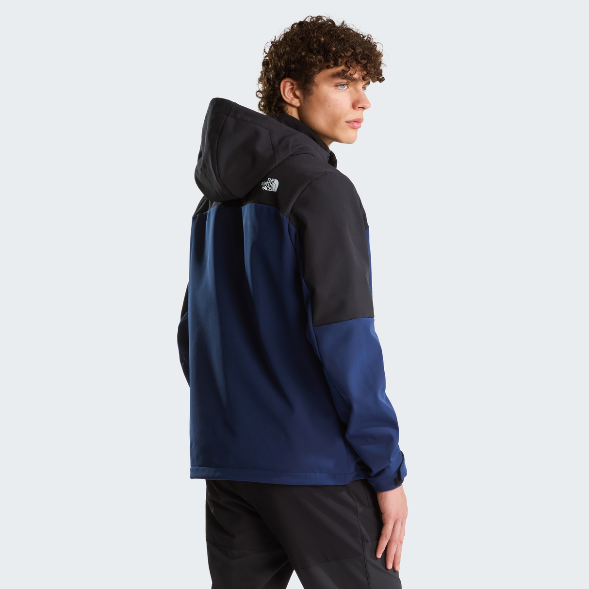 tnf_asset:NF0A8J5H92A-ALT3