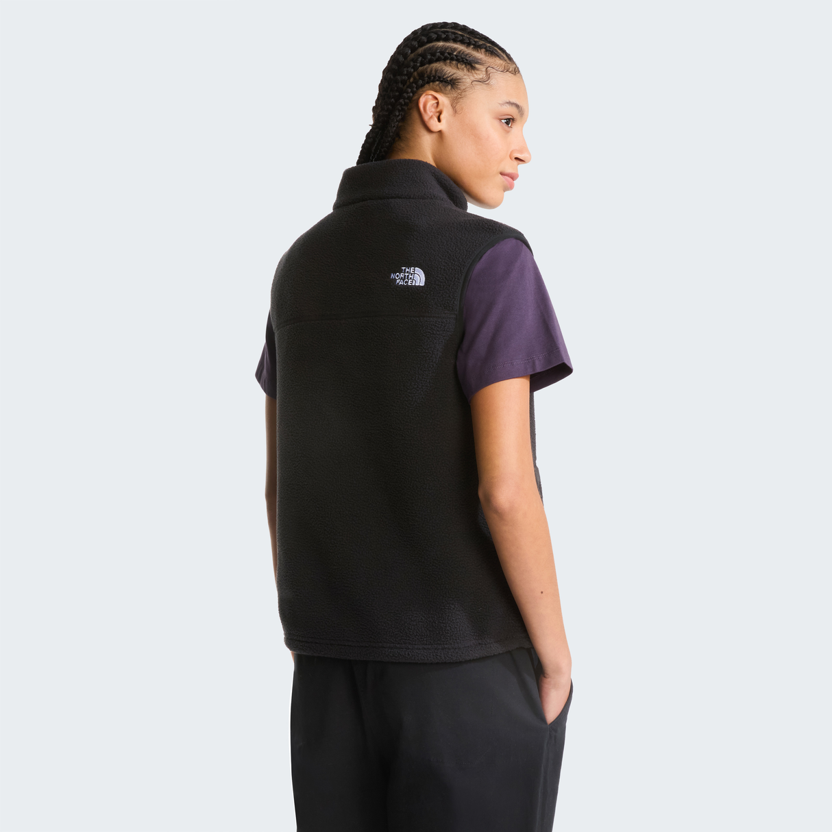 tnf_asset:NF0A8B6FJK3-ALT3