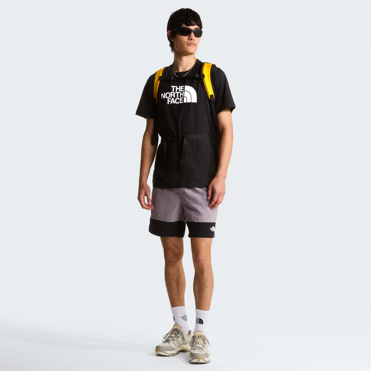 tnf_asset:NF0A8B6JKY4-ALT1