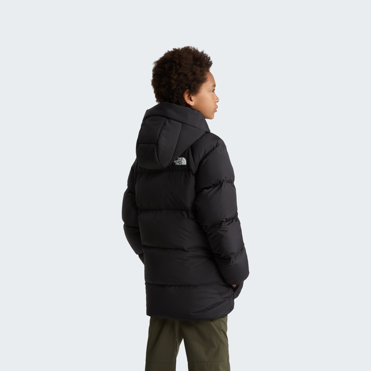 tnf_asset:NF0A88UWJK3-ALT3