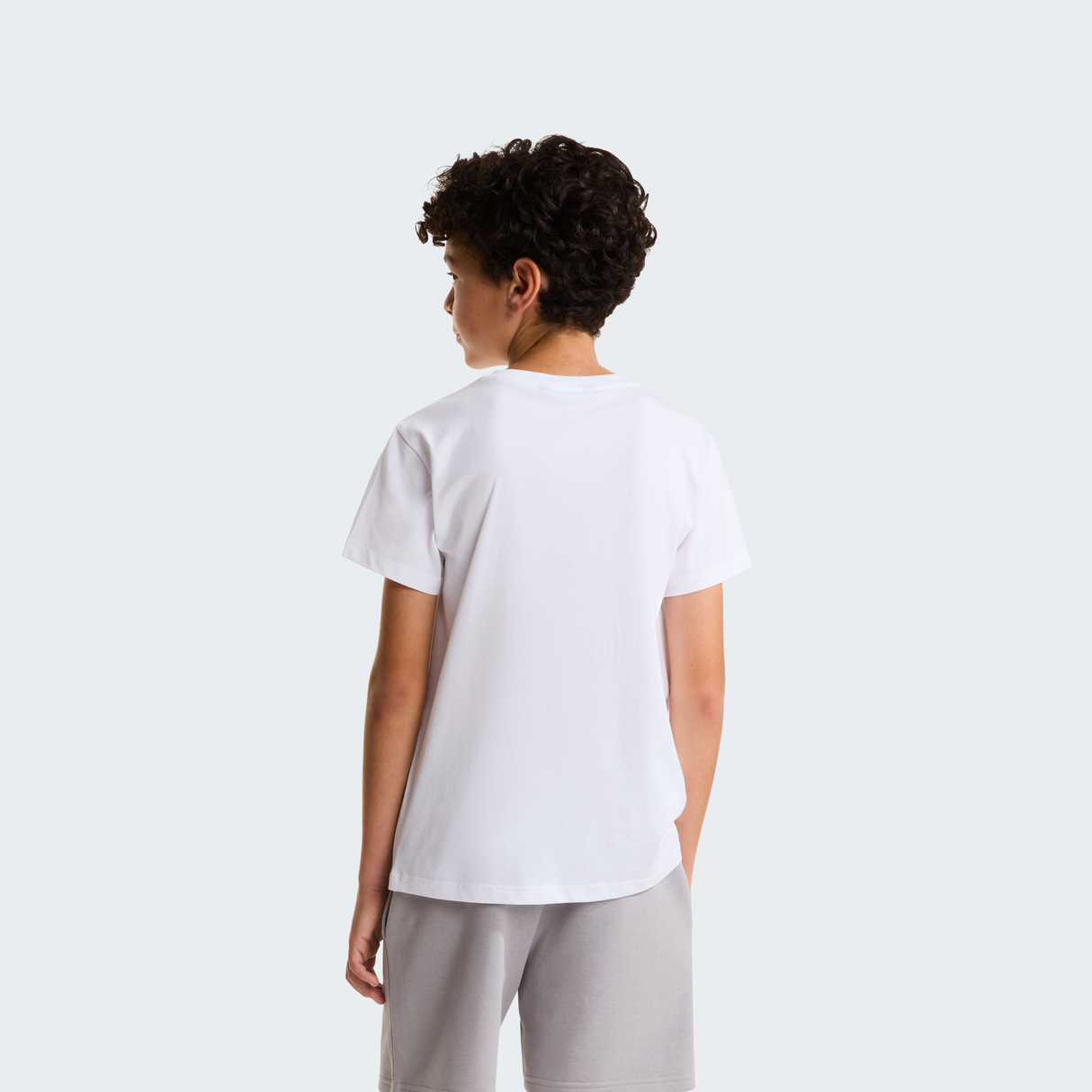 tnf_asset:NF0A8G1WFN4-ALT3