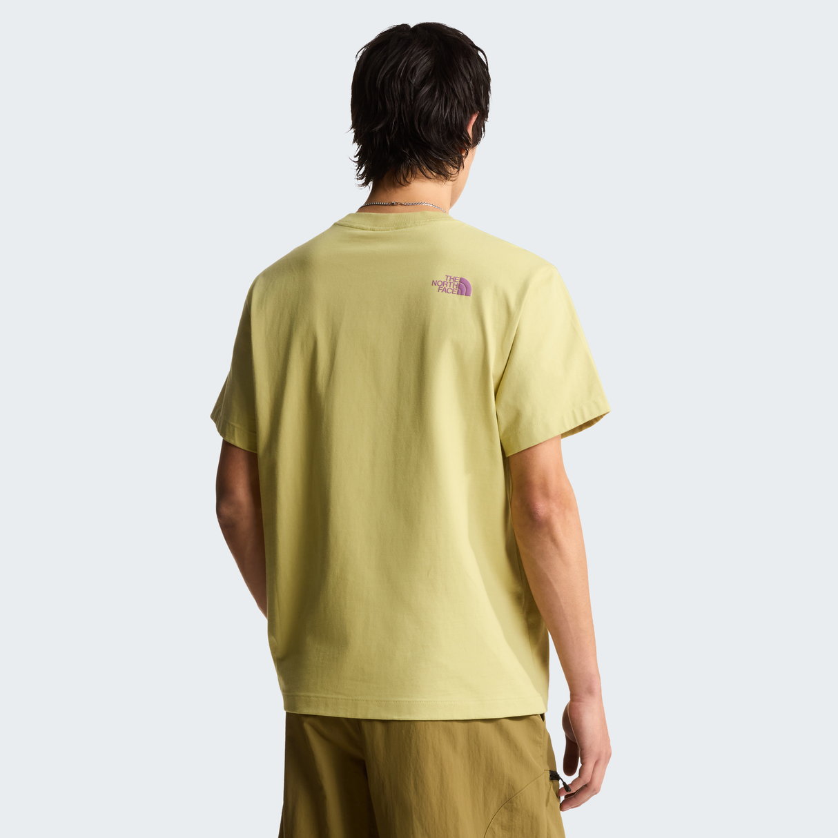 tnf_asset:NF0A8GQXG73-ALT3
