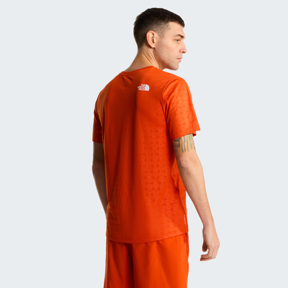 tnf_asset:NF0A8G87G6L-ALT3