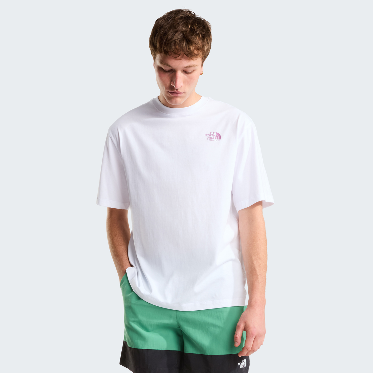 tnf_asset:NF0A8GB3FN4-ALT3