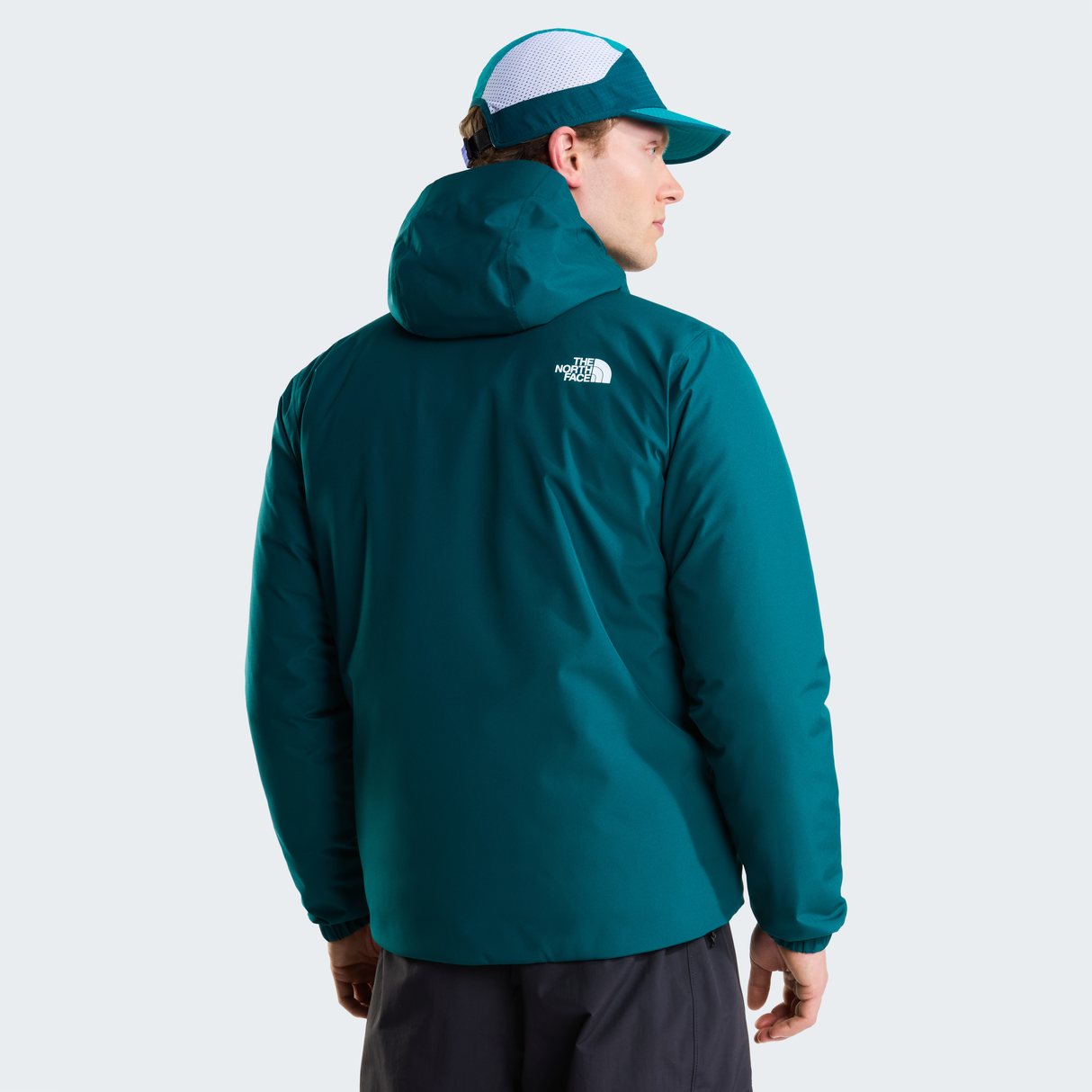 tnf_asset:NF0A8G0RN4J-ALT3