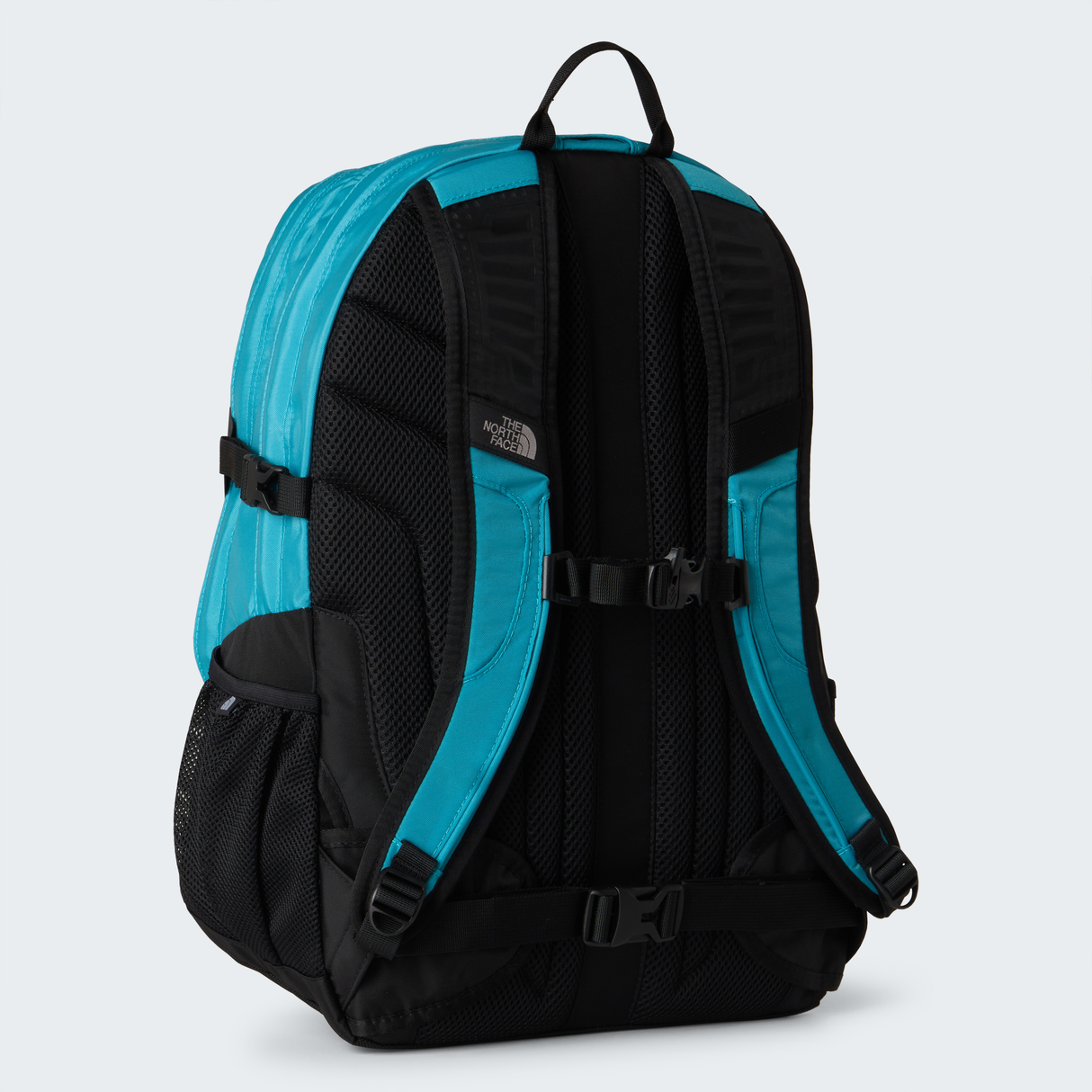 tnf_asset:NF00CF9CNPT-ALT2