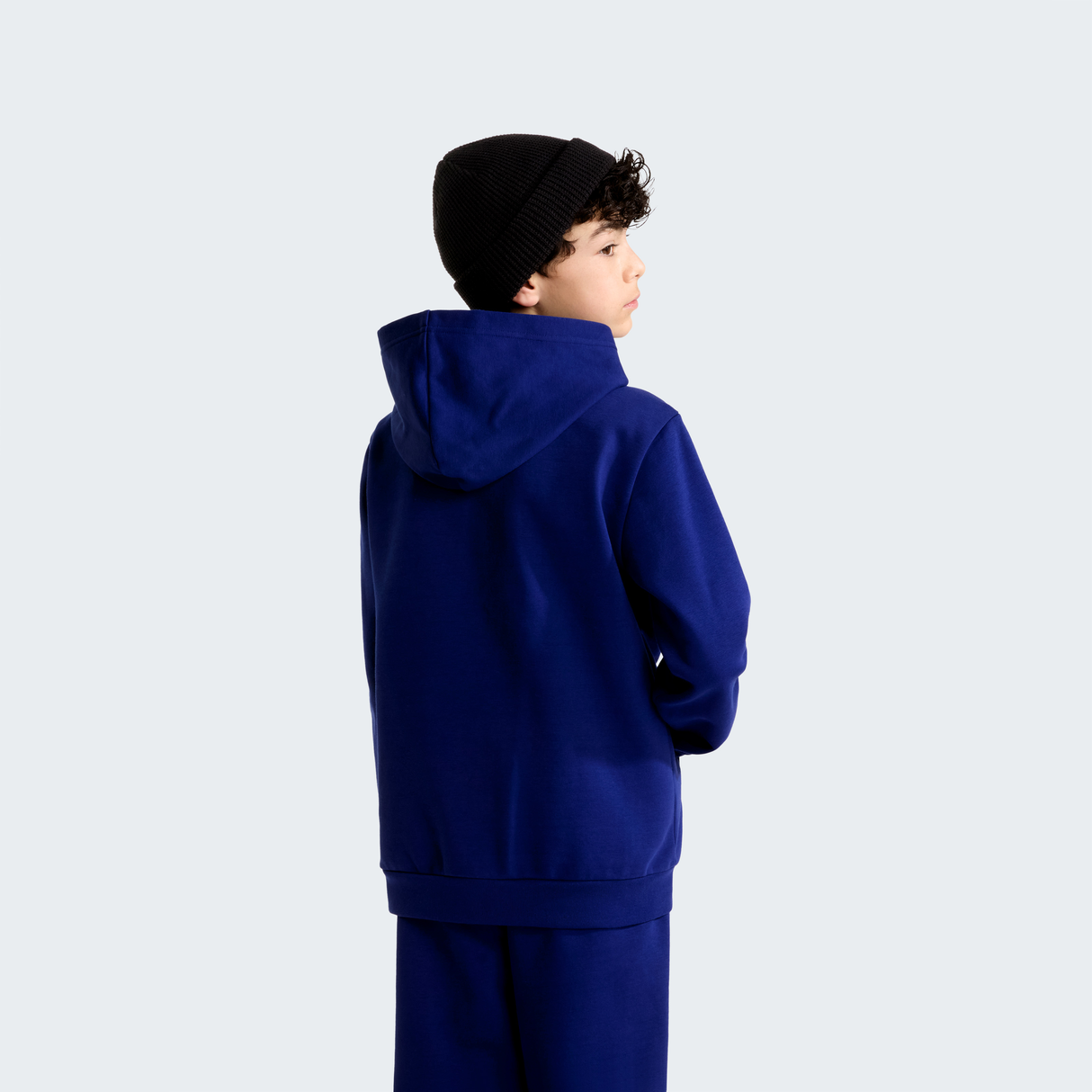 tnf_asset:NF0A8CV6NLV-ALT3