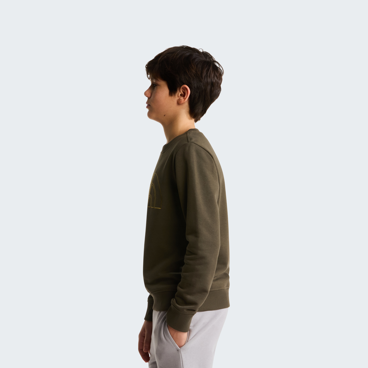 tnf_asset:NF0A8AXX21L-ALT2
