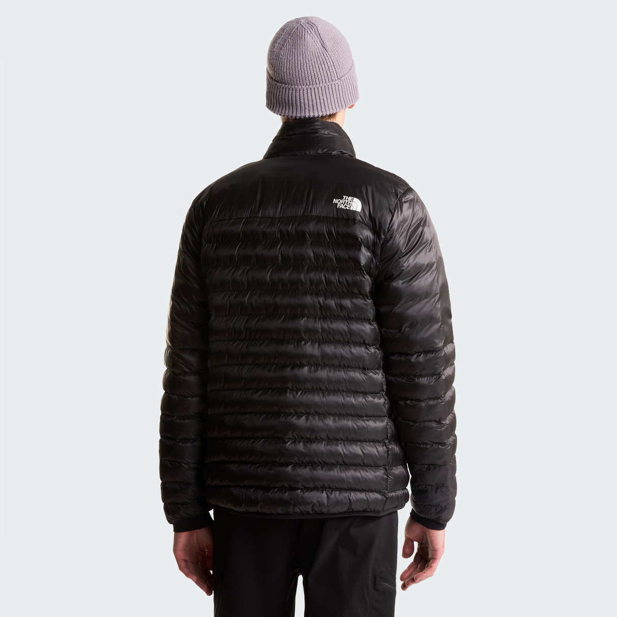 tnf_asset:NF0A88U2JK3-ALT3