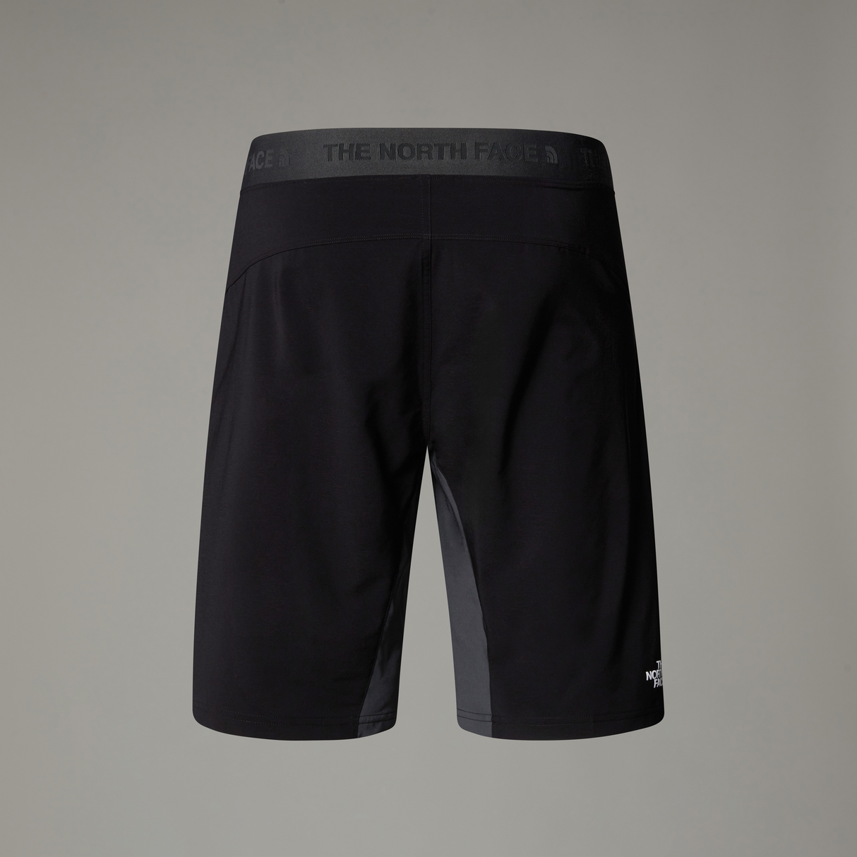 tnf_asset:NF0A825X4JK-ALT1