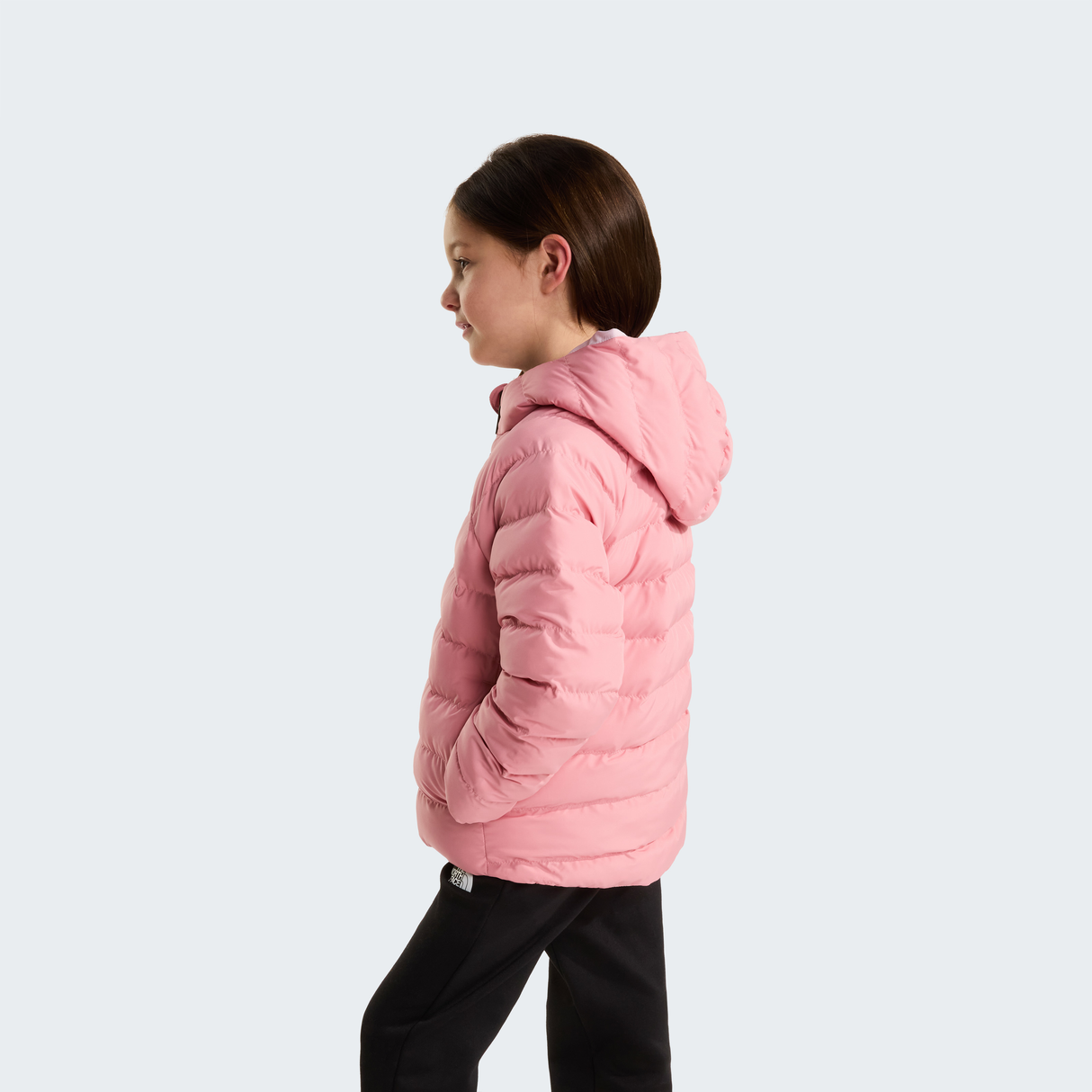 tnf_asset:NF0A88VJNO9-ALT3