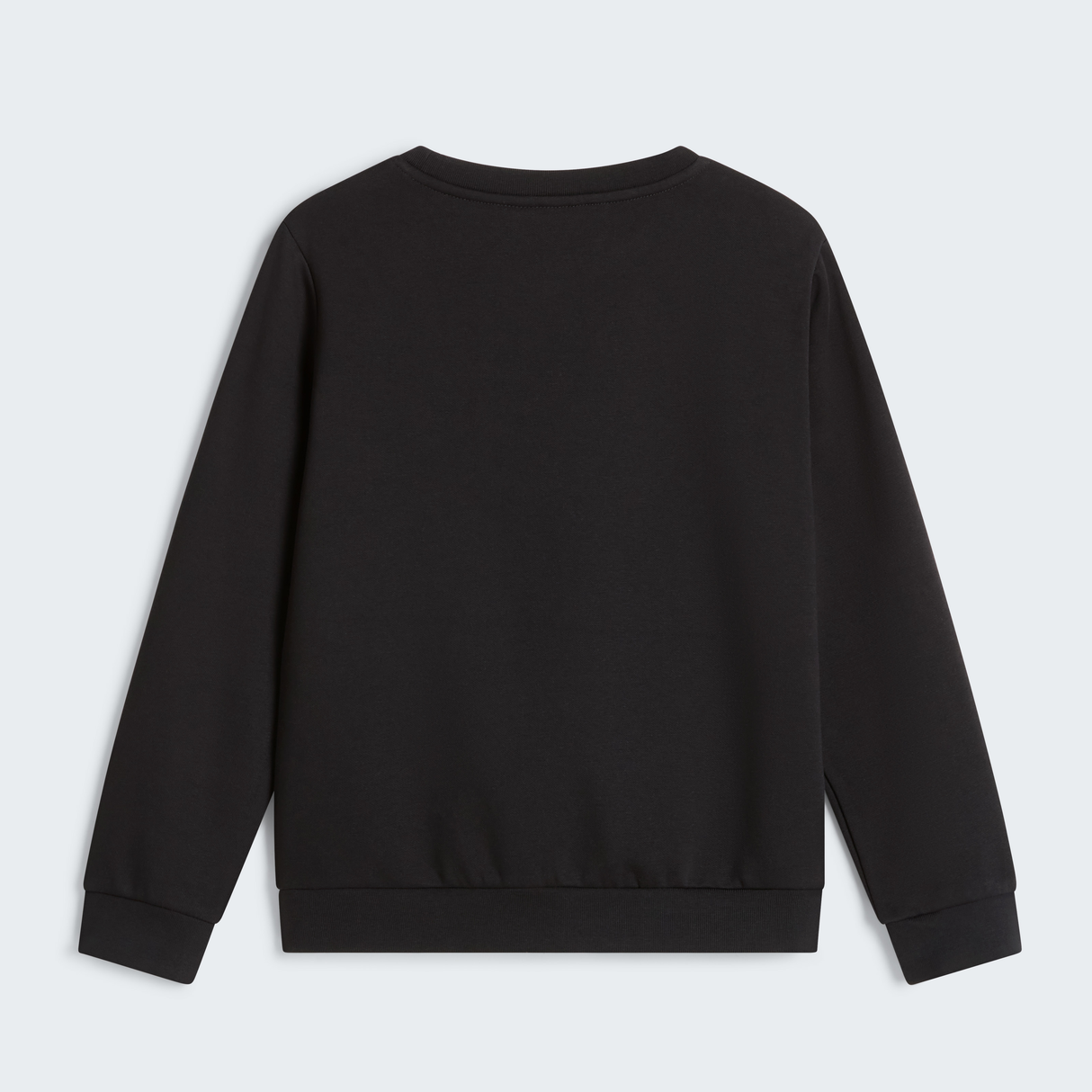 tnf_asset:NF0A8ESMJK3-ALT1