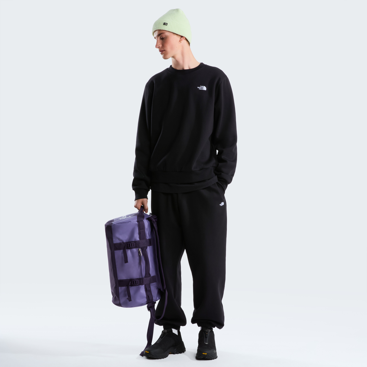 tnf_asset:NF0A8D60JK3-ALT1