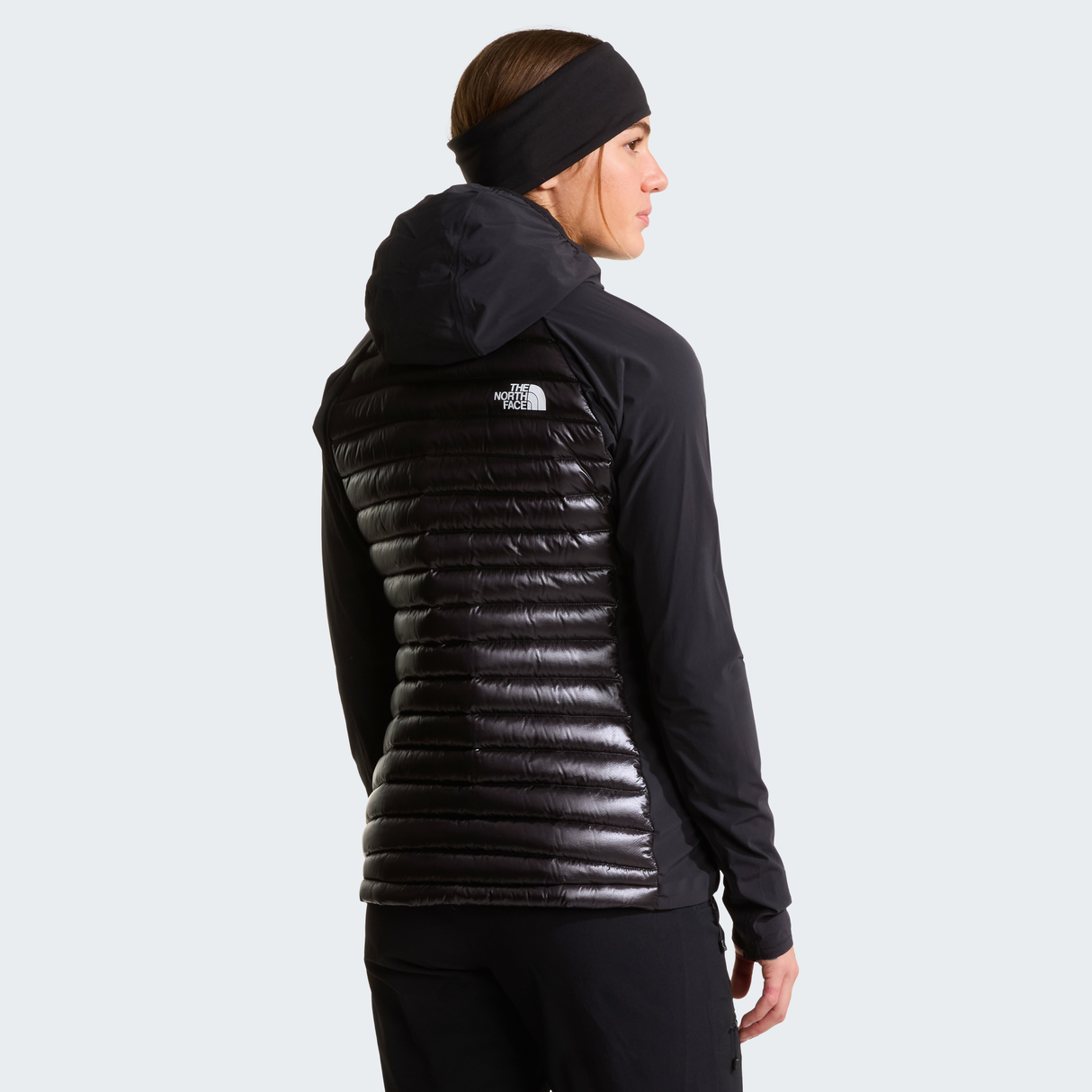 tnf_asset:NF0A8C9GJK3-ALT3