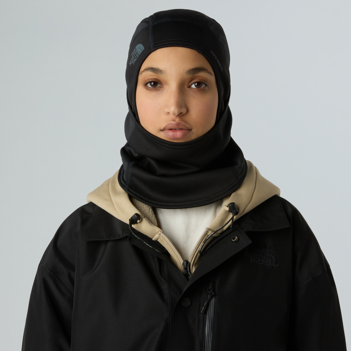 tnf_asset:NF0A8CHRJK3-ALT1