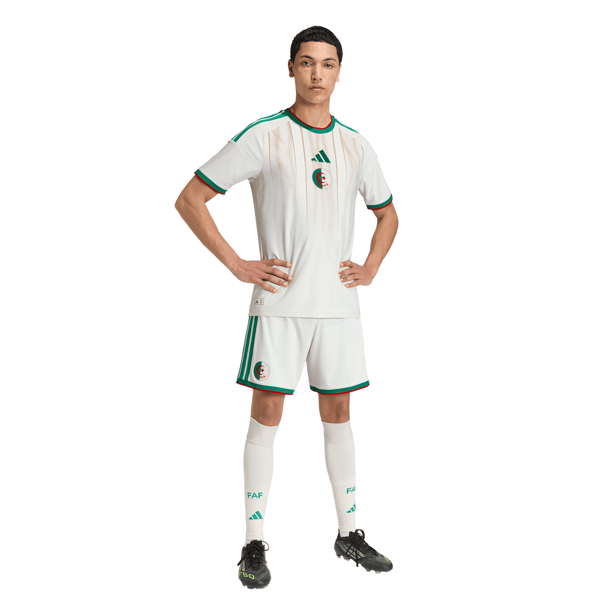ADIDAS - Algeria 26 Home Authentic Jersey - Uomo - Beige - image 6