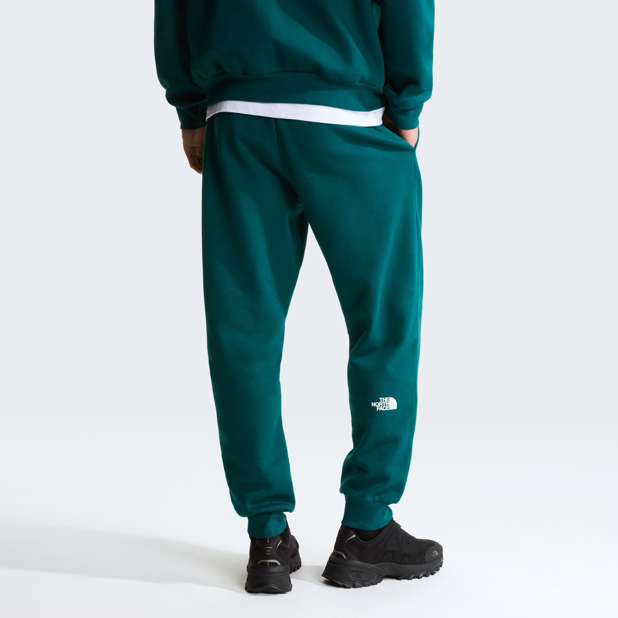 tnf_asset:NF0A8JB0N4J-ALT3