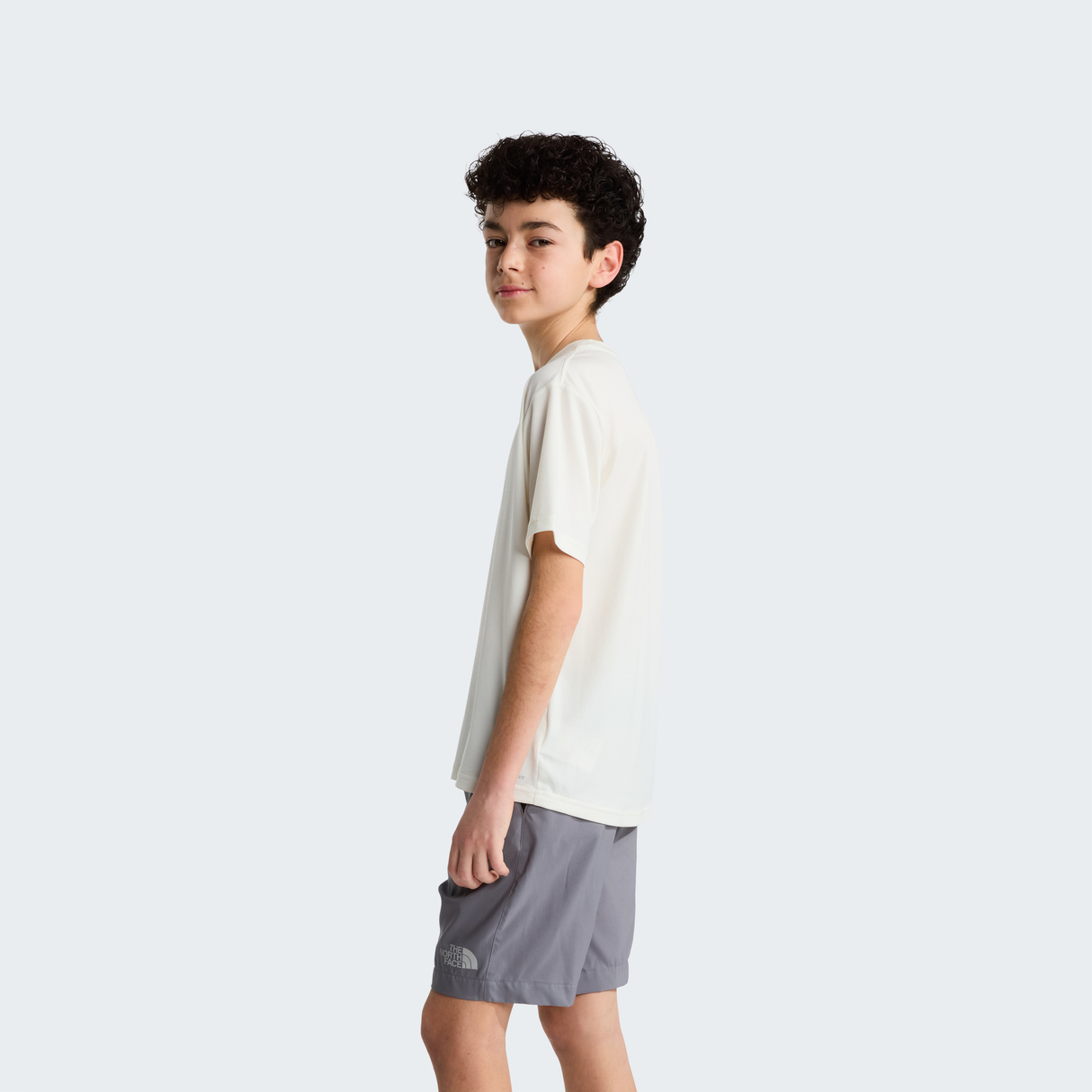 tnf_asset:NF0A8DF2QLI-ALT2