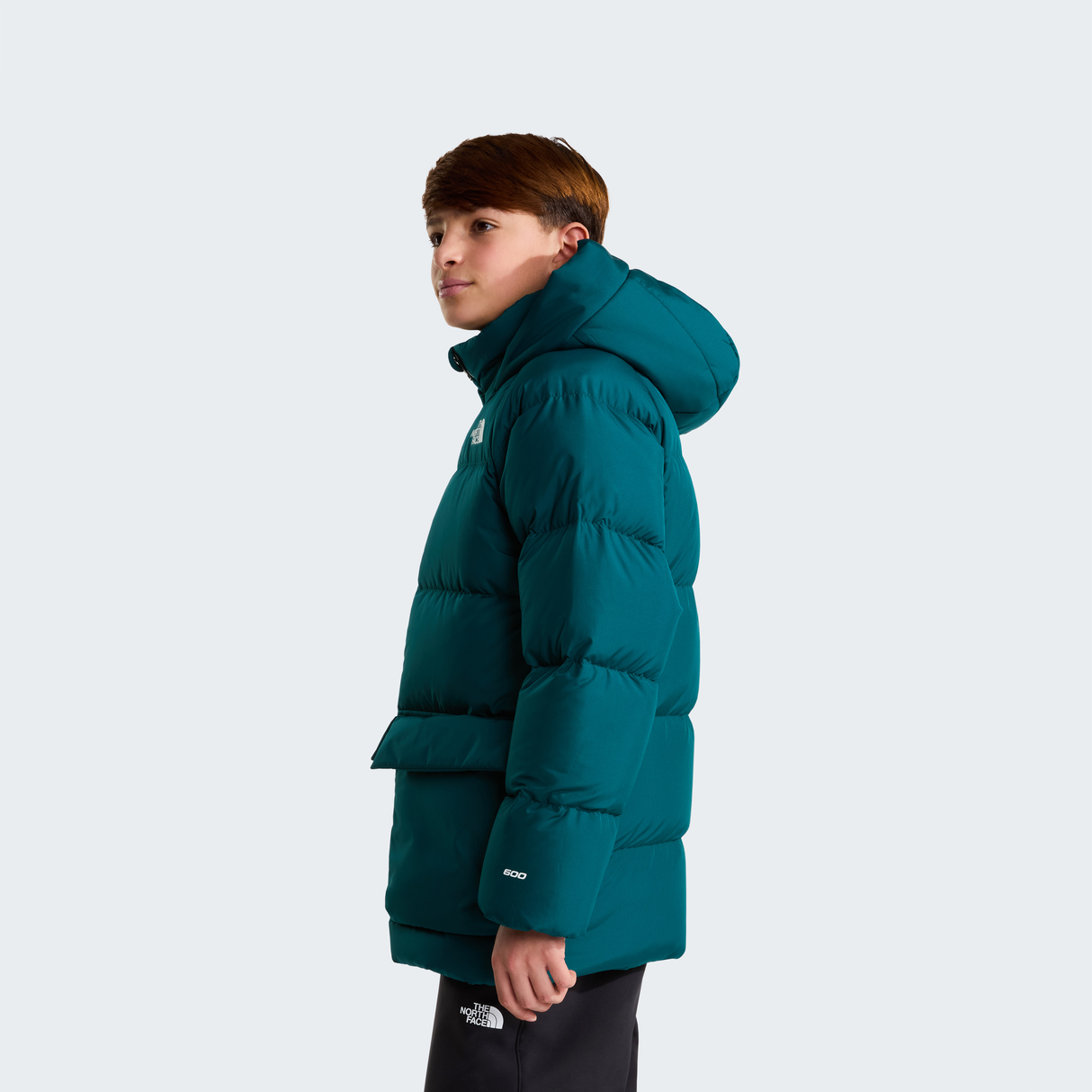 tnf_asset:NF0A88UWN4J-ALT2