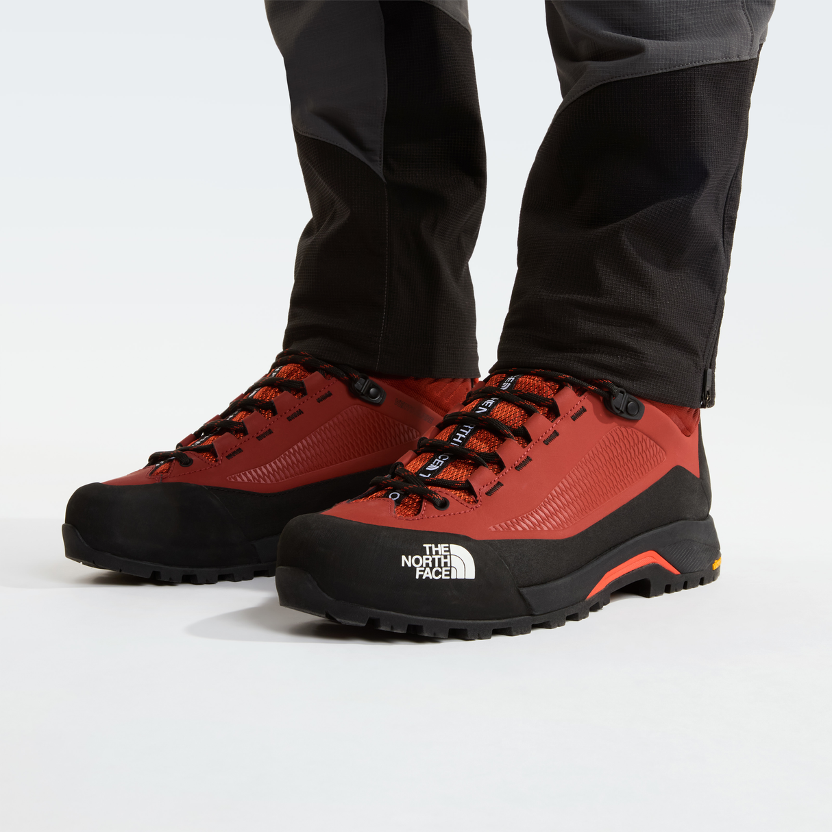 tnf_asset:NF0A83NBM7P-ALT2
