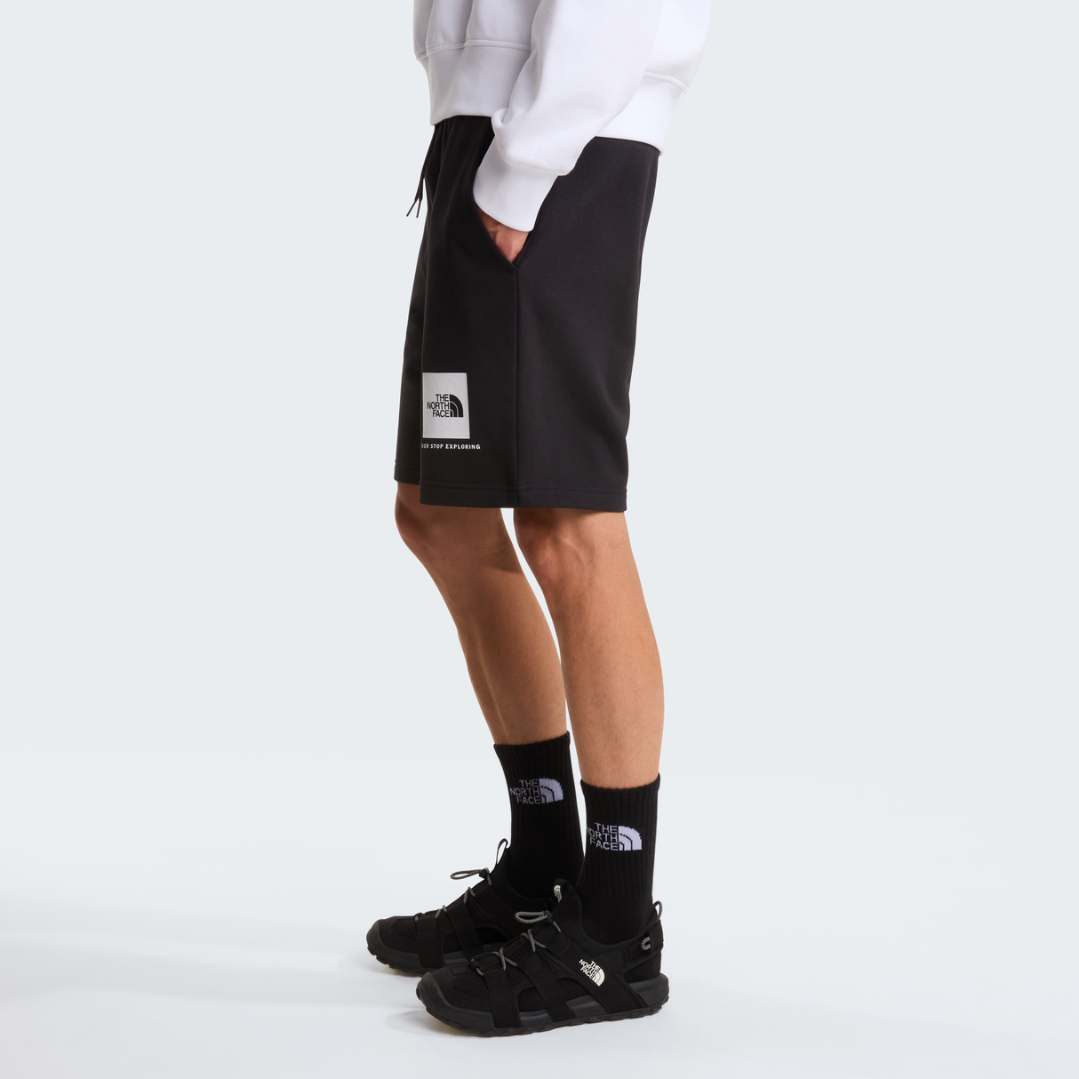 tnf_asset:NF0A8GQ8JK3-ALT2