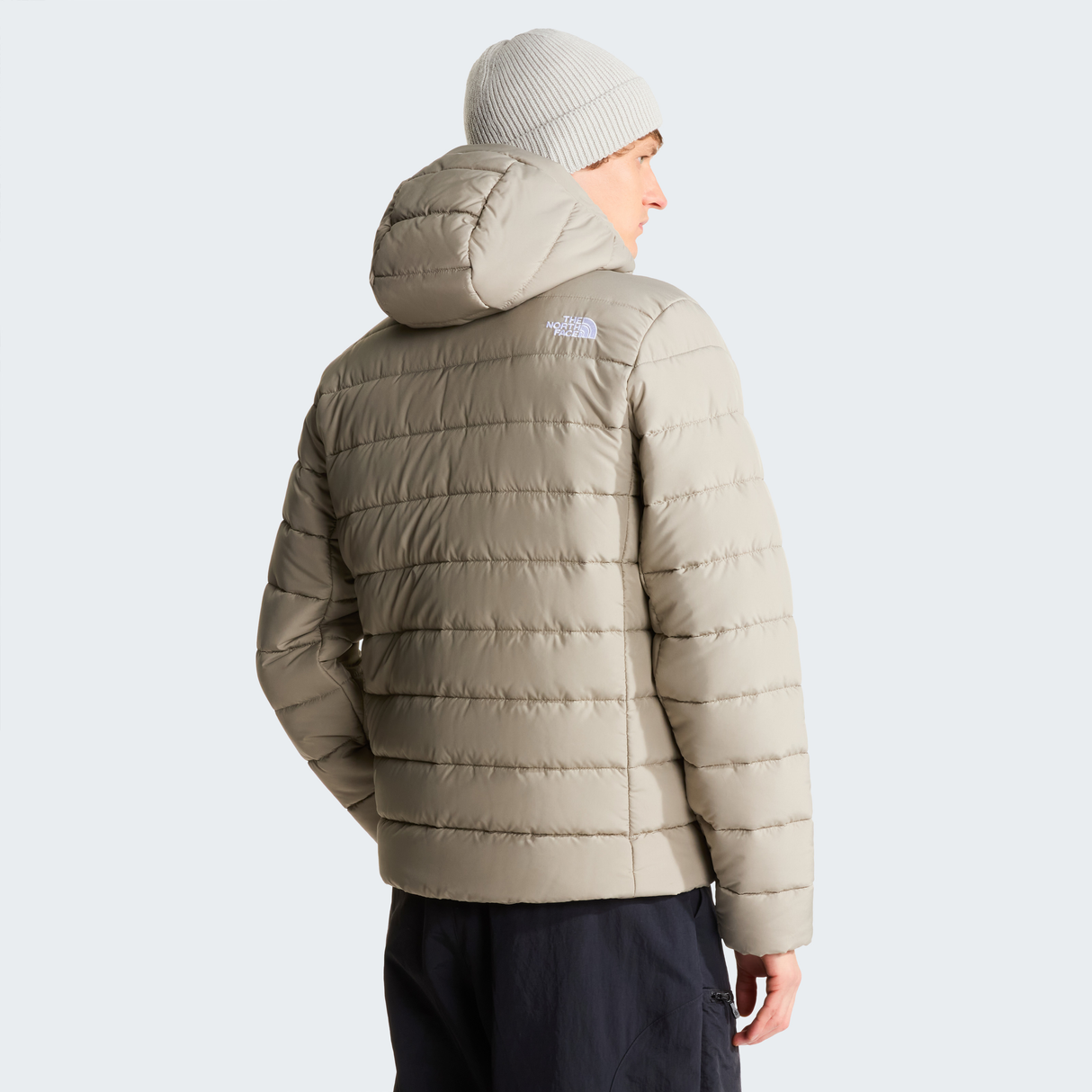 tnf_asset:NF0A8H0K2MB-ALT3