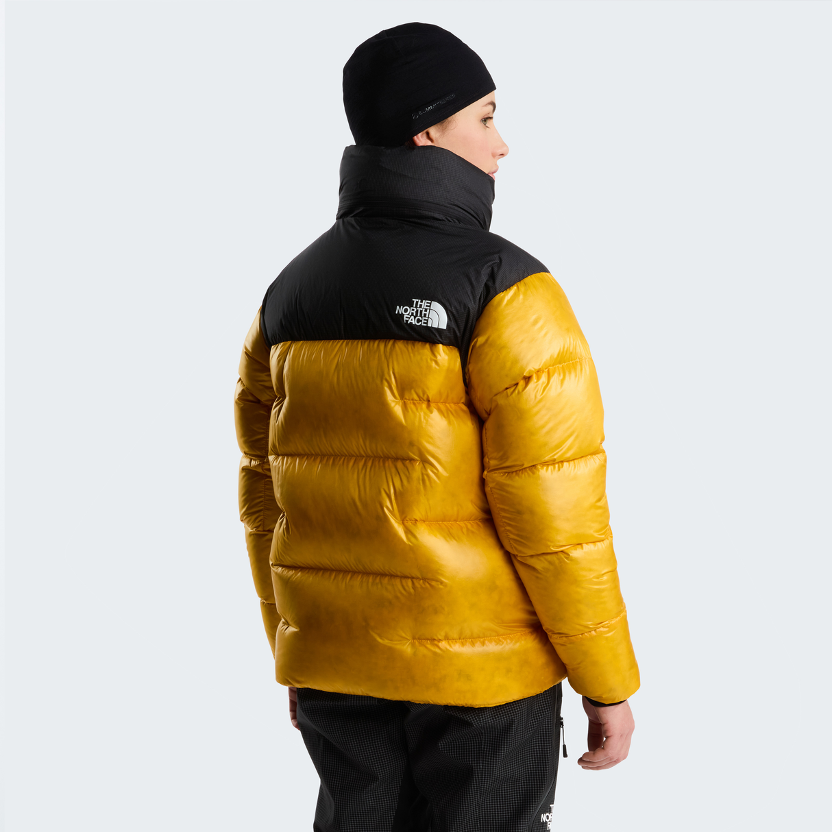 tnf_asset:NF0A8H3EZU3-ALT3