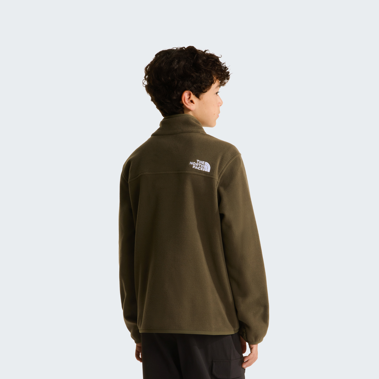 tnf_asset:NF0A8F8A21L-ALT3