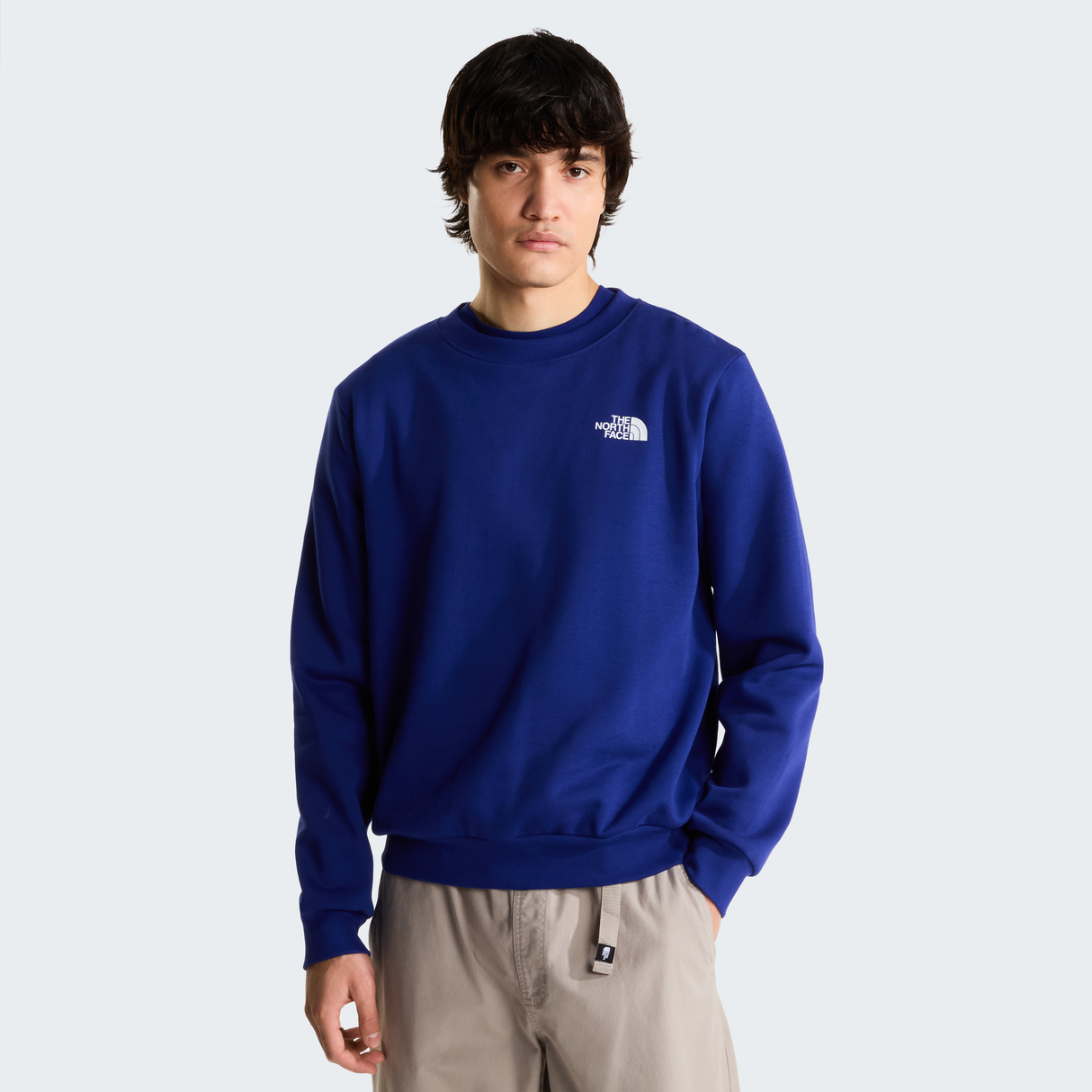tnf_asset:NF0A8FD3NLV-ALT2