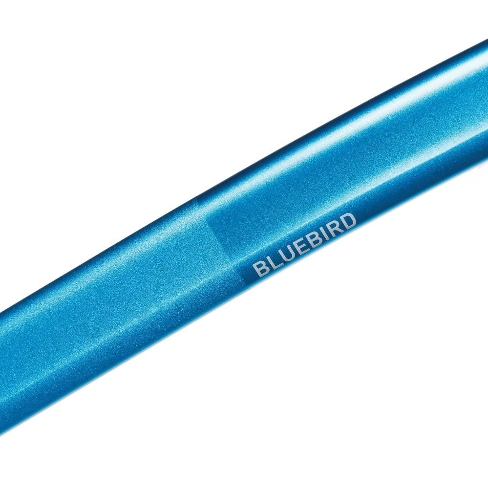 BLUE ICE - Bluebird