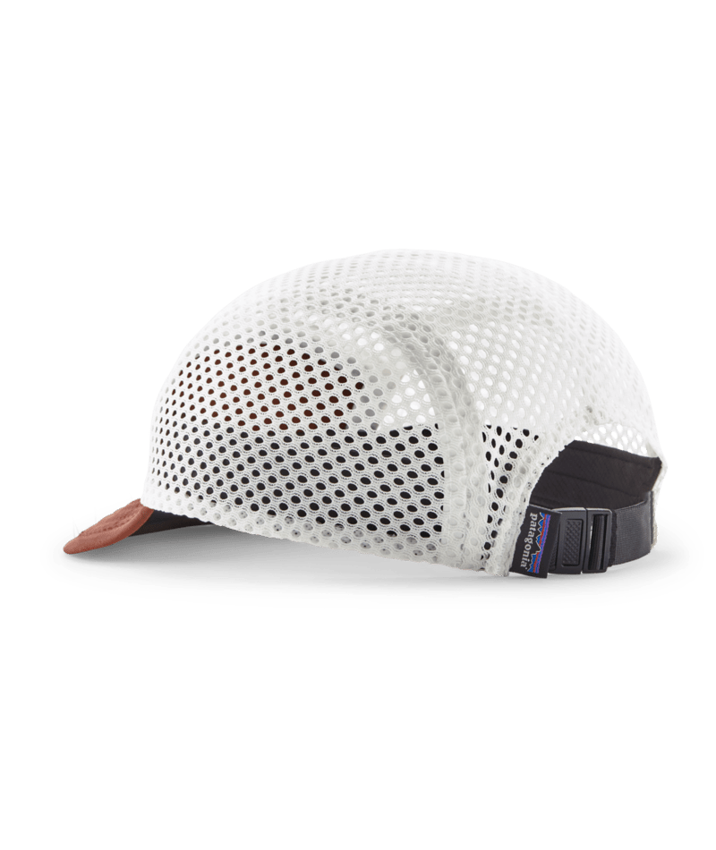 28818|DVL|2